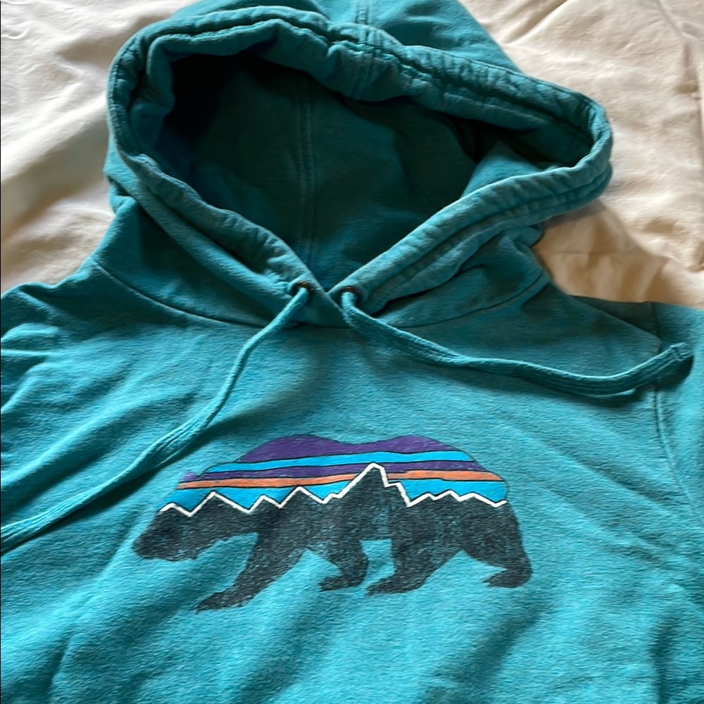 Patagonia Organic Cotton Hoodie Medium